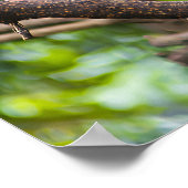 Colorful Macaw Parrots Perched Together Poster (Ecke)