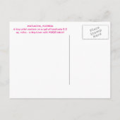 Colorful Matlacha Pine Island Florida Postkarte (Rückseite)