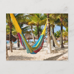 Colorful Mayan Hammock Cozumel Mexico Postcard Postkarte