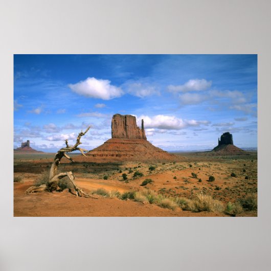 Colorful Monument Valley Mittens in Utah USA Poster (Vorne)