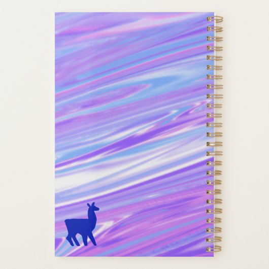 Colorful NPM Planner (with Stickers!) Planer (Rückseite)