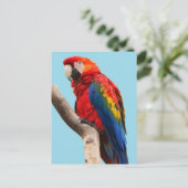 Colorful Parrot Portrait Photo Postkarte (Stehend Vorderseite)