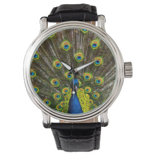 Colorful peacock armbanduhr