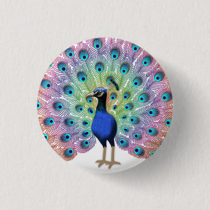 Colorful Peacock Button