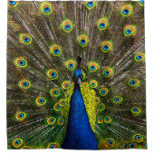 Colorful peacock duschvorhang (Vorderseite)