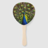 Colorful peacock fächer (Vorderseite)