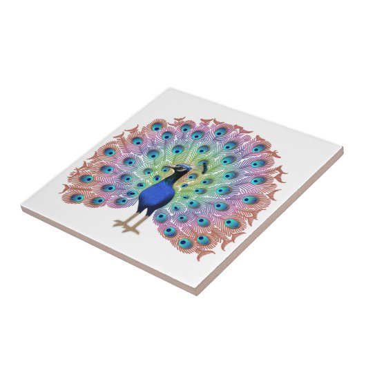 Colorful Peacock Fliese (Seite)