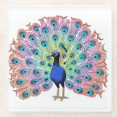 Colorful Peacock Glasuntersetzer (Vorderseite)