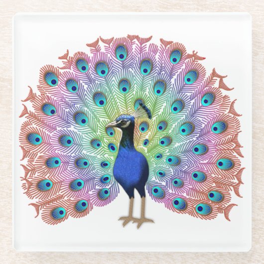 Colorful Peacock Glasuntersetzer (Vorderseite)