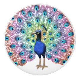 Colorful Peacock Keramikknauf