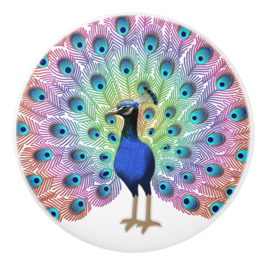Colorful Peacock Keramikknauf (Vorderseite)