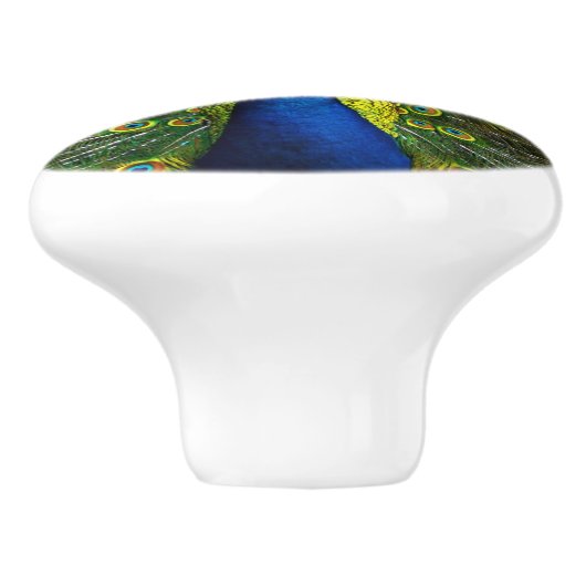 Colorful peacock keramikknauf (Seitenansicht)