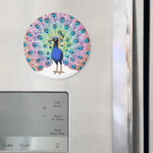 Colorful Peacock Magnet