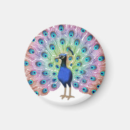 Colorful Peacock Magnet