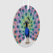 Colorful Peacock Ornament (Vorderseite)