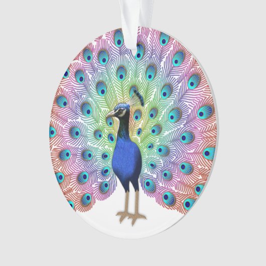 Colorful Peacock Ornament (Vorderseite)