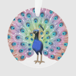 Colorful Peacock Ornament