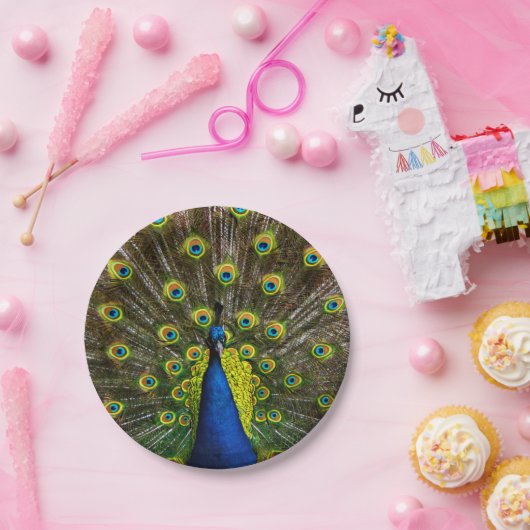 Colorful peacock pappteller (Party)