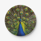Colorful peacock pappteller (Vorderseite)