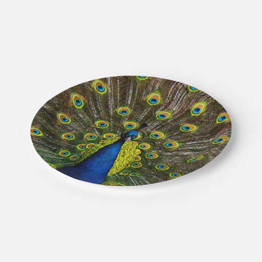 Colorful peacock pappteller (Schrägansicht)