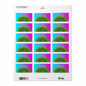 Colorful Peacock Rainbow Colors Bird Psychedelic Adressaufkleber (Vorne)