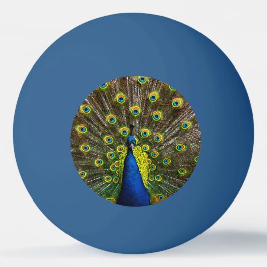 Colorful peacock tischtennisball (Vorderseite)