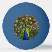 Colorful peacock tischtennisball (Rückseite)