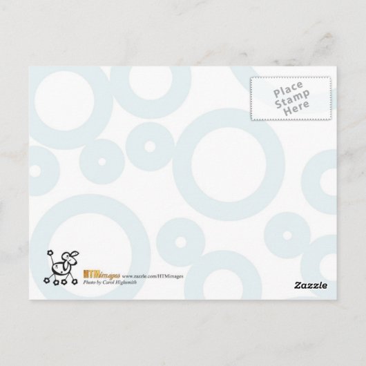 Colorful Poodle Postkarte (Rückseite)