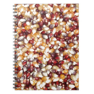 Colorful Popcorn Kernels Notizblock