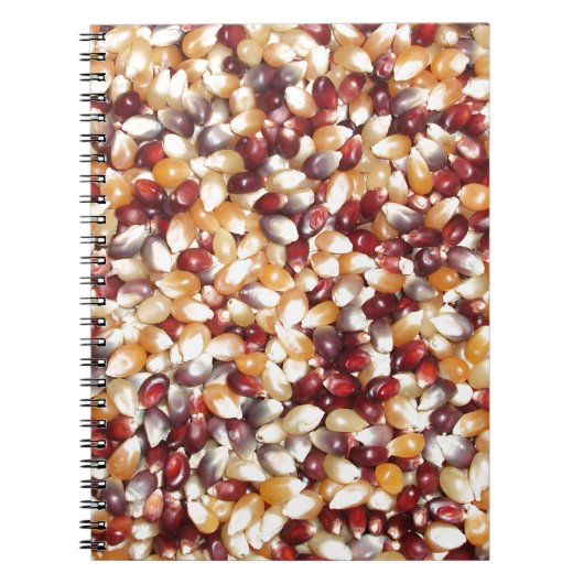 Colorful Popcorn Kernels Notizblock (Vorderseite)