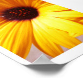 Colorful Poster (Ecke)