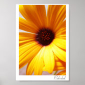 Colorful Poster (Vorne)