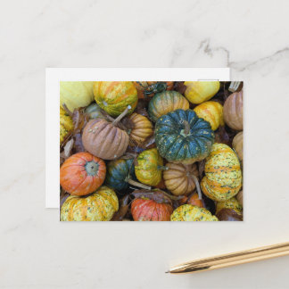 Colorful Pumpkin Postcard Postkarte