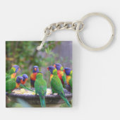 Colorful Rainbow Lorikeet Parrots Eating Schlüsselanhänger (Rückseite)