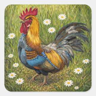 Colorful Rooster in Daisy Meadow – Nature Art Stic Quadratischer Aufkleber