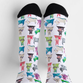 Colorful Scottie Socks Socken