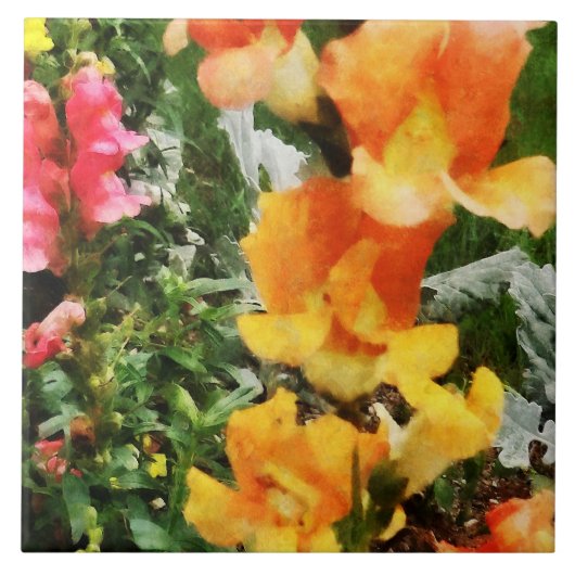 Colorful Snapdragons Fliese (Vorderseite)