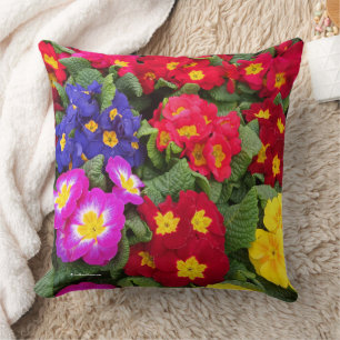Colorful Springtime Medley of Primulas Kissen