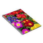 Colorful Springtime Medley of Primulas Notizblock (Rechte Seite)