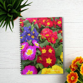 Colorful Springtime Medley of Primulas Notizblock