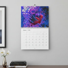 Colorful Tropical Fish 2026 Underwater Paradise  Kalender