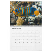 Colorful Tropical Fish 2026 Underwater Paradise Kalender (Feb 2026)