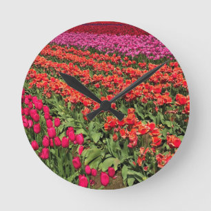 Colorful Tulip Field, Oregon Runde Wanduhr