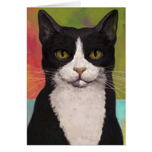 Colorful Tuxedo Cat