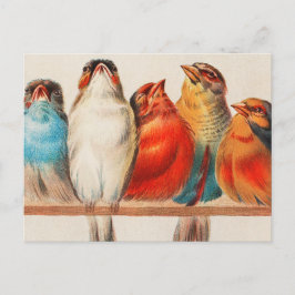 Colorful vintage illustration of five little birds postkarte