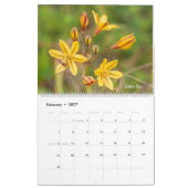 Colorful Wildflowers  Kalender (Feb 2027)