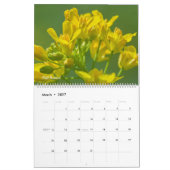 Colorful Wildflowers  Kalender (Mär 2027)