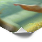 Colorful Wyandotte Rooster Poster (Ecke)