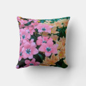 Colorfull Kissen (Rückseite)