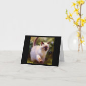 Colorpoint Kurzhaarkatze Karte (Gelbe Blume)